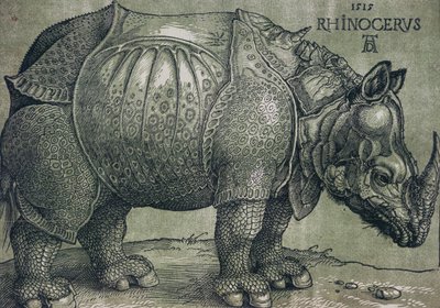 犀牛，1515年 作者 阿尔布雷希特丢勒