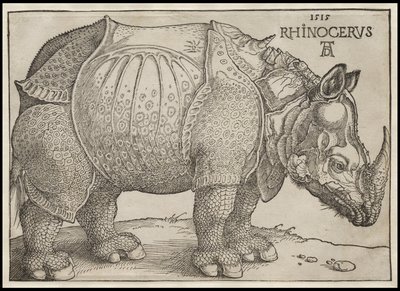 犀牛，1515年 作者 阿尔布雷希特丢勒