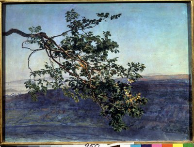 亚历山大-伊万诺夫（1806-1858）的 "La branche "画作（1840-1850 年） 莫斯科国立特列季亚科夫美术馆 作者 亚历山大·安德烈耶维奇·伊万诺夫（Aleksandr Andreevich Ivanov）