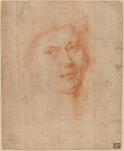一个青年的负责人 作者 亚历山德罗·阿洛里（Alessandro Allori）