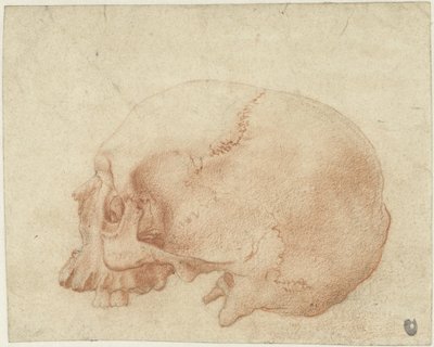 头骨研究 作者 亚历山德罗·阿洛里（Alessandro Allori）