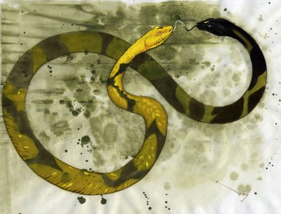 神话般的生物：Amphisbene 的代表，有两个头的蛇。 亚历山德罗·洛纳蒂绘画 作者 亚历山德罗·洛纳蒂