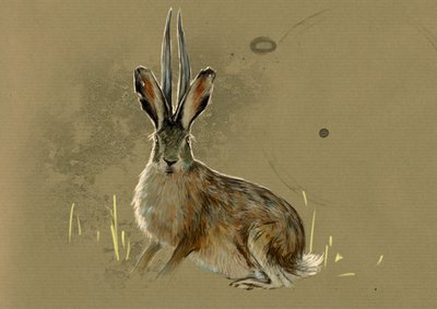 神奇的怪物和生物，隐秘动物学：鹿角兔的代表，传奇动物 milievre mi antelope（神话动物长有羚羊角的长耳大野兔） - 亚历山德罗·洛纳蒂 (Alessandro Lonati) 绘画，2012 年 作者 亚历山德罗·洛纳蒂