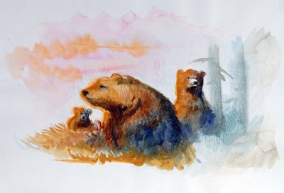 自然熊家族 插画：Alessandro Lonati 作者 亚历山德罗·洛纳蒂