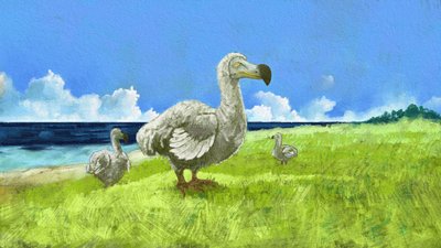 已灭绝的渡渡鸟的形象（插图） 作者 亚历山德罗·洛纳蒂