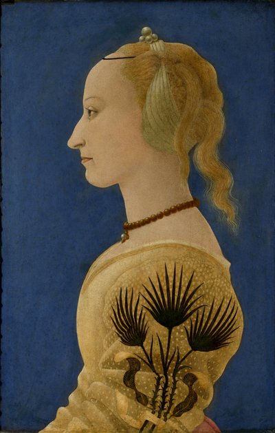 黄衣女子肖像，c.1465（面板） 作者 阿莱西奥·巴尔多维内蒂