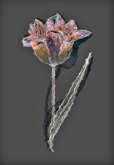 花，2020，（混合媒体） 作者 亚历克斯·卡明克