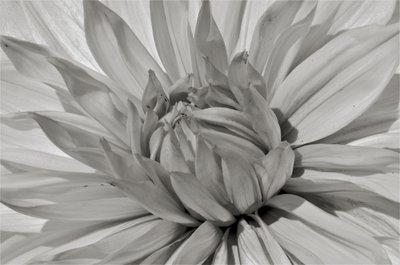 Untitled,2019,(photography) 作者 亚历克斯·卡明克