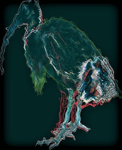 鸟II,2020,(混合媒体) 作者 亚历克斯·卡明克