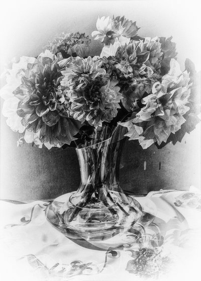 crystal bouquet,2019,(photography) 作者 亚历克斯·卡明克
