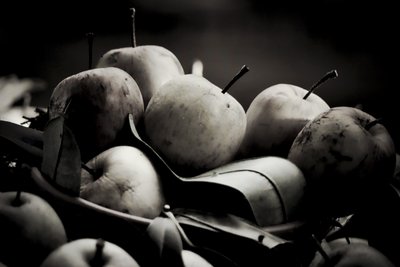 harvest,2019,(photography) 作者 亚历克斯·卡明克