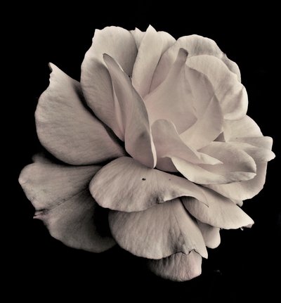 living geometry,2019,(photography) 作者 亚历克斯·卡明克