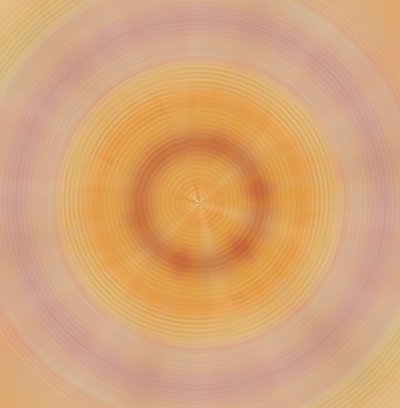 盘子,2019,(混合媒体) 作者 亚历克斯·卡明克
