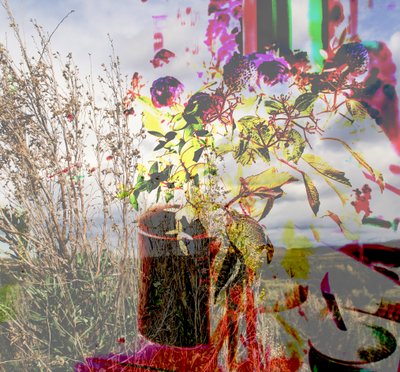 still life,2019,(collage) 作者 亚历克斯·卡明克