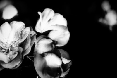 tenderness,2019,(photography) 作者 亚历克斯·卡明克