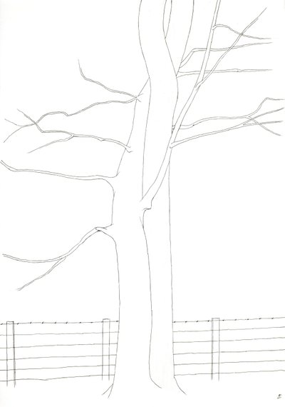 混血儿 作者 亚历克斯·邓恩