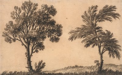 两柳习 作者 亚历山大·科曾斯