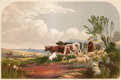 戈德史密斯的荒芜村庄的插图 作者 Alexander Francis Lydon