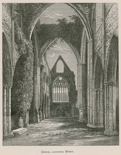 Tintern Abbey，合唱团，向西看 作者 亚历山大·弗朗西斯·莱登