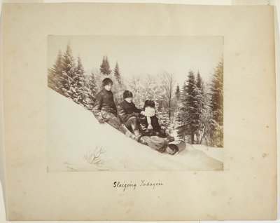Tobogganing，c.1873（蛋白印刷（复合材料）） 作者 亚历山大·亨德森