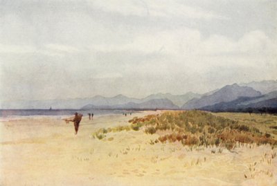 维亚雷焦北部的海滨（彩色石版画） 作者 亚历山大·亨利·哈勒姆·默里