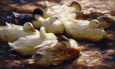 鸭子在河岸上 作者 亚历山大·科斯特