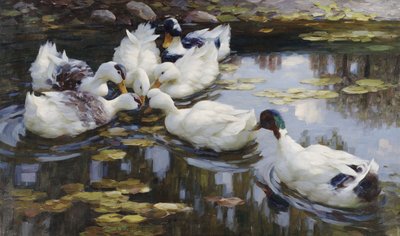 鸭池 作者 Alexander Koester