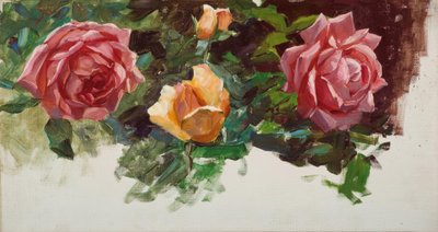 科斯特（A.Koester），《玫瑰研究》 作者 亚历山大·科斯特