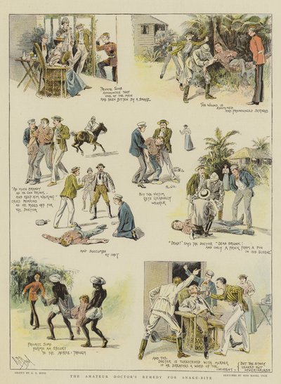 业余医生针对蛇咬的补救措施（chromolitho） 作者 Alexander Stuart Boyd