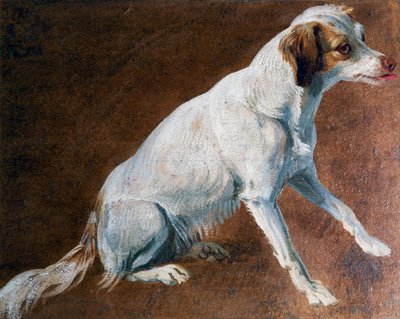 法国史宾格犬的祖先，由法国的亚历山大-弗朗索瓦-德斯波尔（1661-1743）创作。 作者 亚历山大·弗朗索瓦·德斯波特