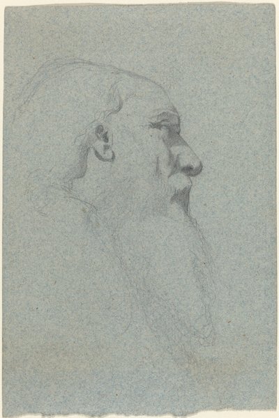 大胡子男人的头，向右看 作者 亚历山大·比达（Alexandre Bida）