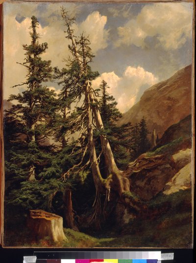 Calame, Alexandre (1810-1864) 的山中冷杉。 布面油画，尺寸：68,5x53。 国家 A. 普希金美术博物馆，莫斯科 作者 亚历山大卡拉梅
