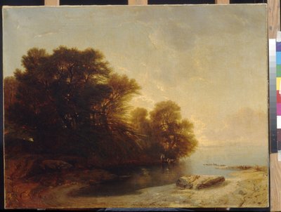 Trees at the lake by Calame, Alexandre (1810-1864). Oil on canvas, Dimension : 62x81. State A. Pushkin Museum of Fine Arts, Moscow 作者 亚历山大卡拉梅