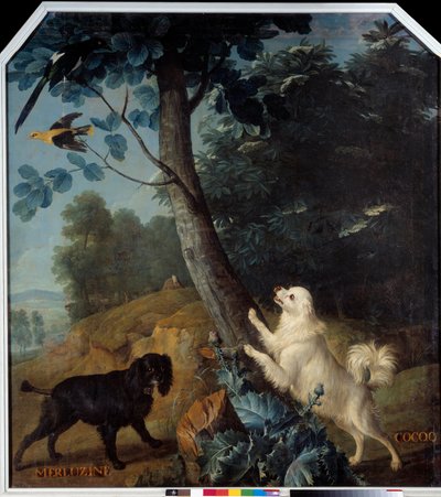 Merluzine 和 Cocoq，路易十四 (1638-1715) 的狗。 弗朗索瓦·德斯波特斯 (Francois Desportes) 的绘画 (1661-1743) 作者 亚历山大·弗朗索瓦·德斯波特