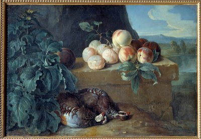 桃子和鹧鸪。 弗朗索瓦·德斯波特斯 (Francois Desportes) 的绘画 (1661-1743) 作者 亚历山大·弗朗索瓦·德斯波特