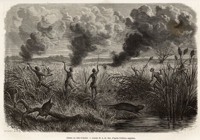 The bongo tribe hunt the rat from the reeds (for naturalists: aulacode), sitot spot the place where the rodents live, fire is set to dry grass around their cottage, until the beets, forced to flee, come to present themselves to the hunters, engraving after 作者 Alexandre de（之后）酒吧