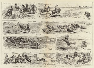 在美国西北部的拉勒米平原上捕捉野马 作者 Alfred Chantrey Corbould