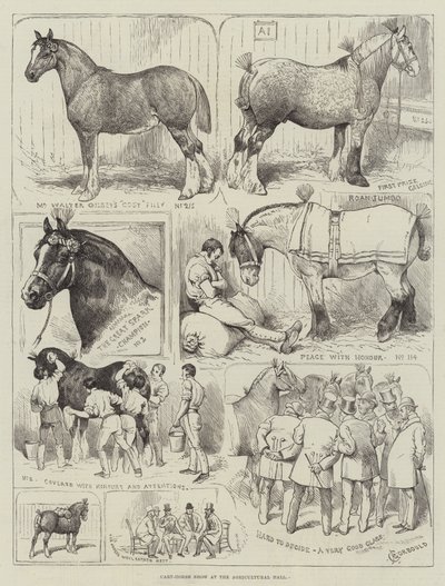 在农业大厅的购物车马展 作者 Alfred Courbould