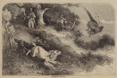 野鸡射击 作者 Alfred Courbould