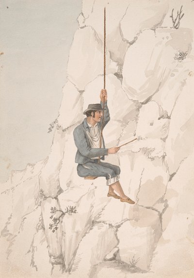 戈梅罗，奥奇拉采集者 作者 Alfred Diston