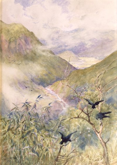 望着百合花：日光谷向东望向Shimo-no-Tsuke省，c.1889（纸上写着） 作者 东阿尔弗雷德