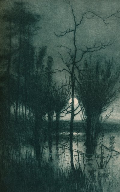寂静的月亮，c1901 作者 东阿尔弗雷德