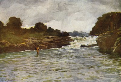 Kathleens Falls，Ballyshannon 作者 阿尔弗雷德·希顿·库珀