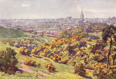来自诺福克郡Mousehold Heath的Norwich 作者 阿尔弗雷德·希顿·库珀