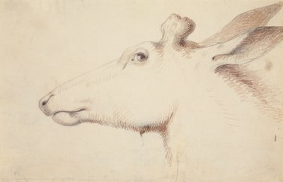 麋鹿，约 1837 年（绘图） 作者 阿尔弗雷德·雅各布·米勒