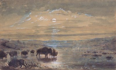 夜景，草原上的水牛，约 1837 年（纸面水彩画） 作者 阿尔弗雷德·雅各布·米勒