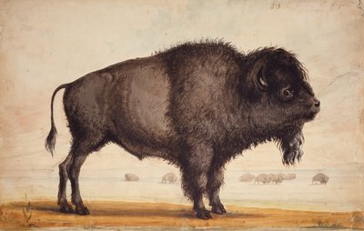 清风拂面》，约 1837 年（纸面水彩画） 作者 阿尔弗雷德·雅各布·米勒