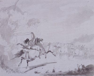 抛出套索》，约1837年（灰卡上的钢笔和墨水与灰色水洗）。 作者 阿尔弗雷德·雅各布·米勒