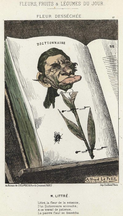 Déséchée花：关于Littré的漫画--1871年2月1日 "每日花卉、水果和蔬菜 "中的插图。 作者 阿尔弗雷德·勒·佩蒂特