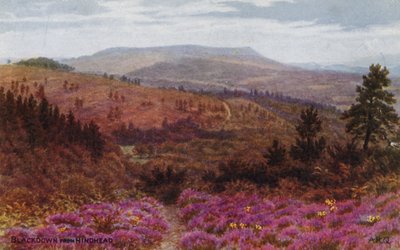 来自Hindhead的Blackdown 作者 阿尔弗雷德·罗伯特·昆顿